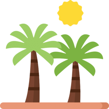 längerer Aufenthalt im Ausland - Palmen mit Sonne